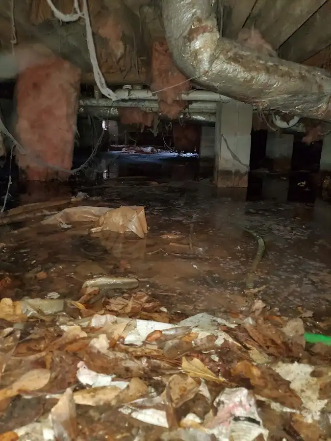 Crawl space flood assessment for Leak Detection & Repair in Indianola